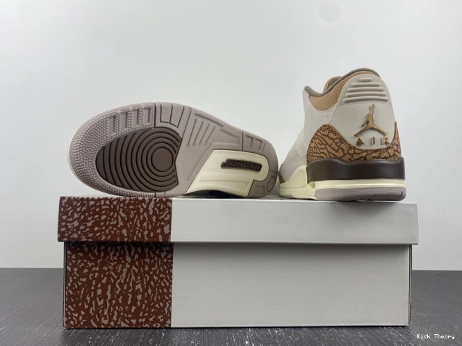 Kicktheory 3 Air Jordan Palomino CT8532-102 0815